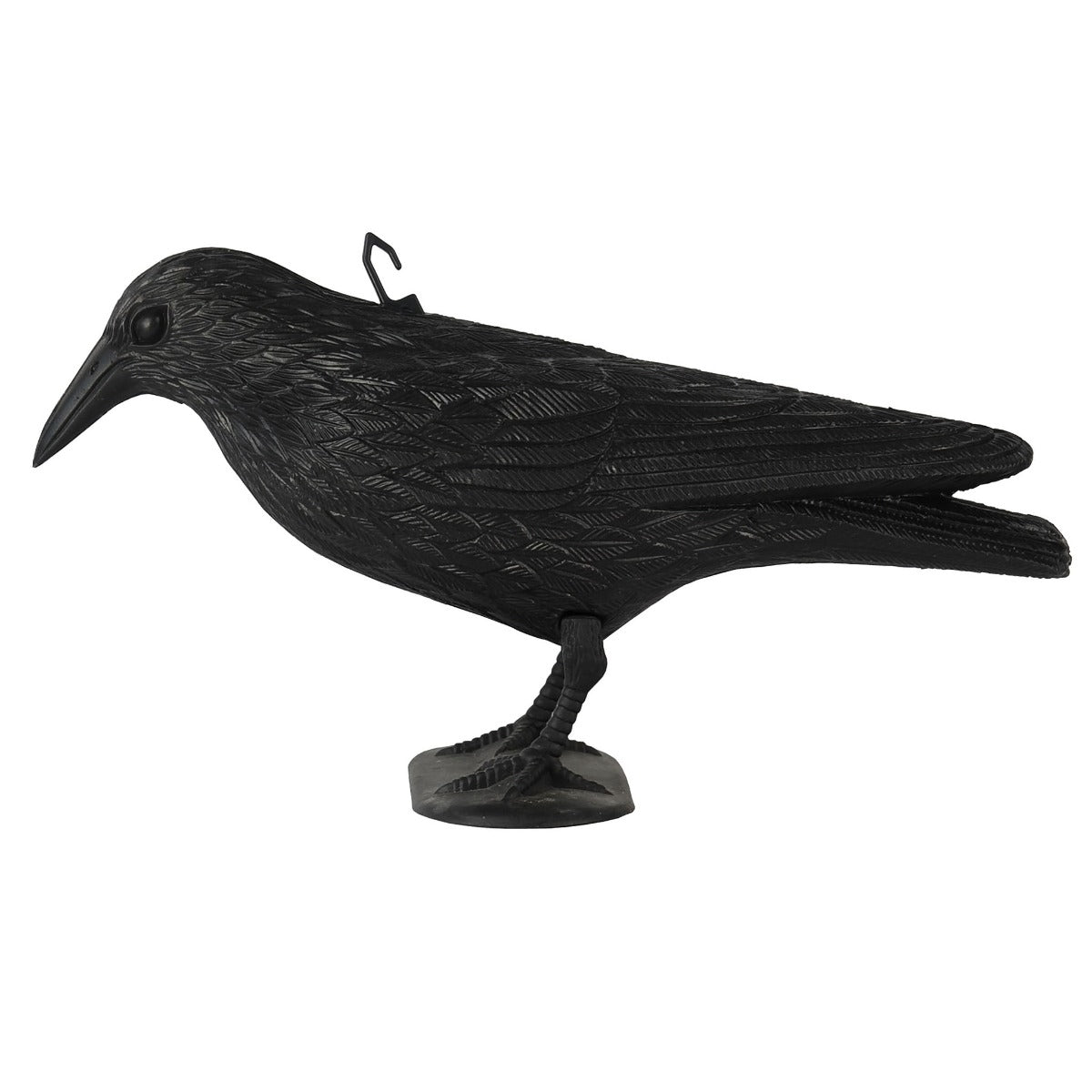 corvo pvc halloween