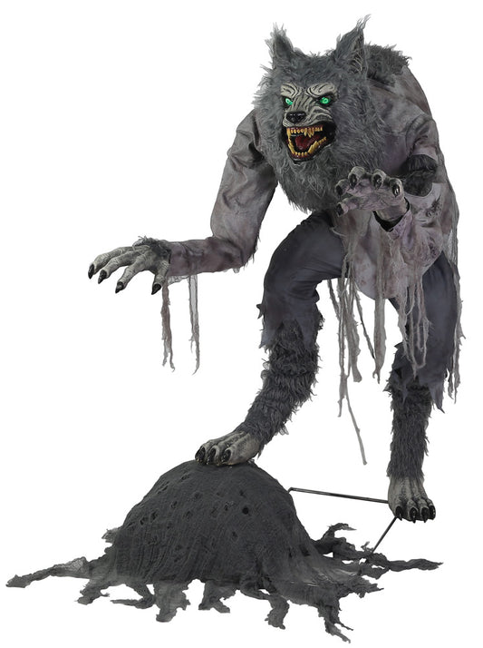 Animatronica Lupo Mannaro 1