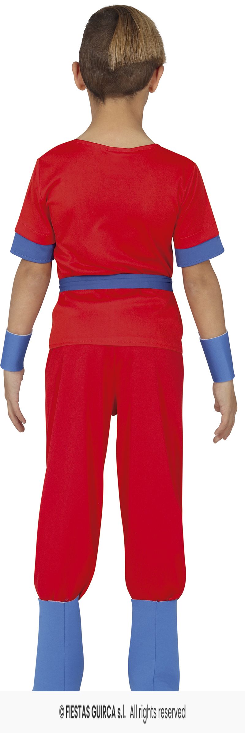 costume goku dragon ball