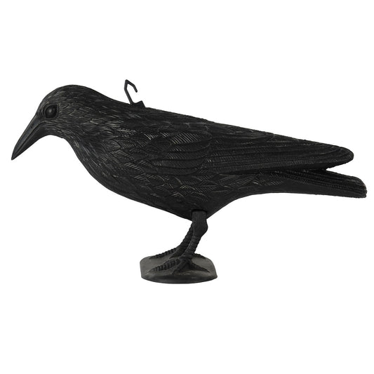 corvo pvc halloween