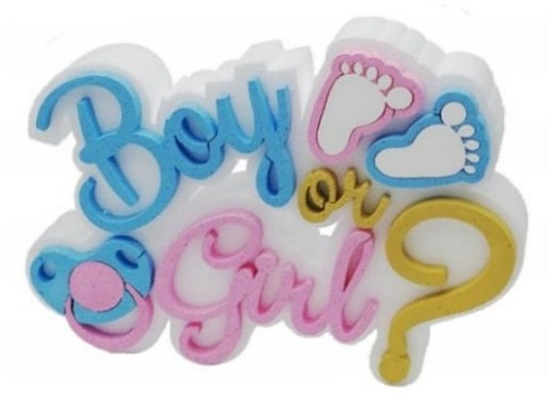 Decorazioni Baby Shower Boy or Girl