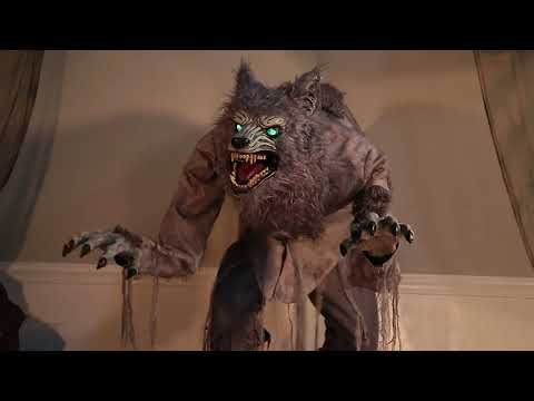 Lupo Mannaro Horror con Luce Suono e Movimento Animatronica alto 1,5 m