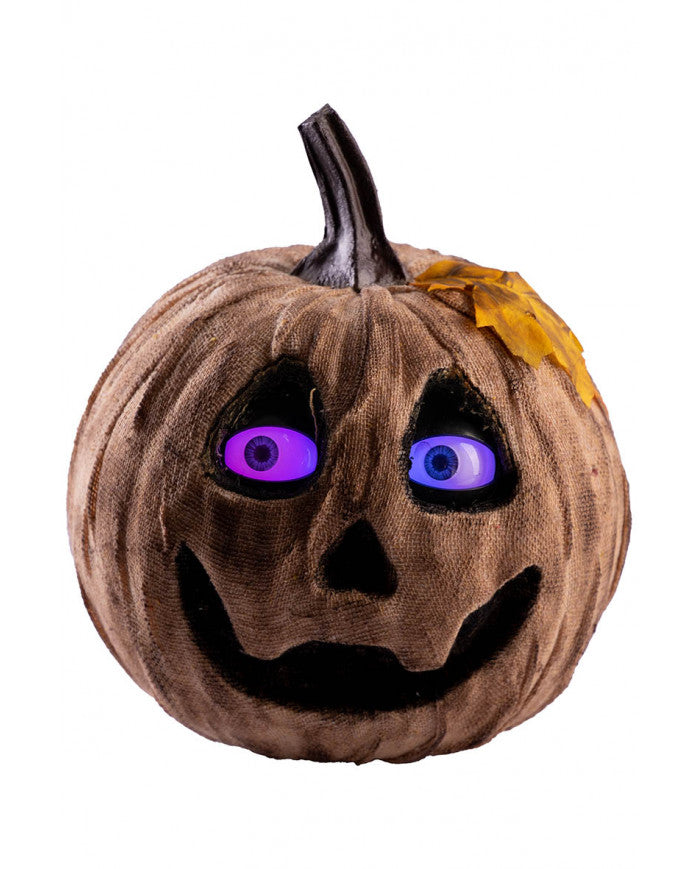 zucca horror