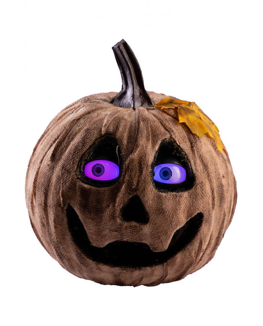 zucca horror