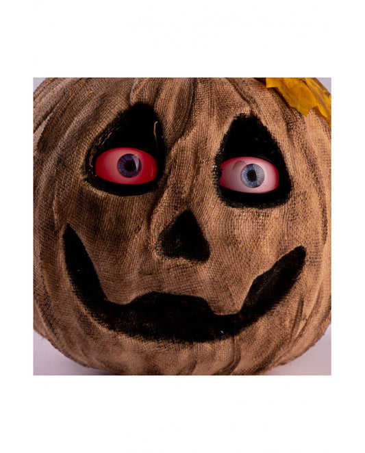 zucca horror